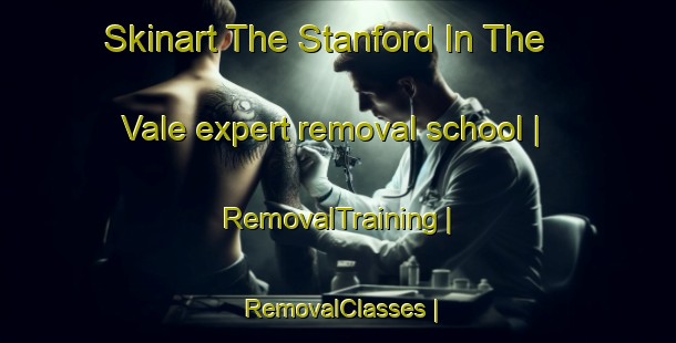 Skinart The Stanford In The Vale expert removal school | RemovalTraining | RemovalClasses | SkinartTraining-United Kingdom
